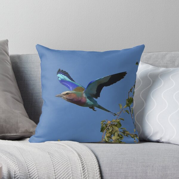 Lilac Breasted Roller in flight, Botswana Throw Pillow