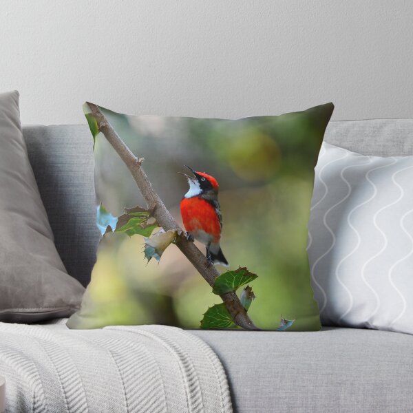 Red Crimson Chat Singing Throw Pillow