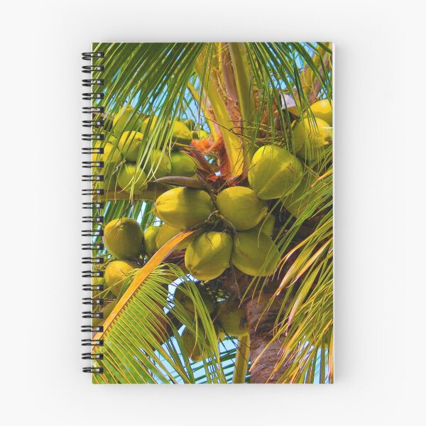 Item preview, Plenty O'Coconuts designed and sold by PhilipBrown.