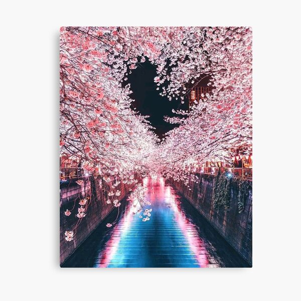 Tokyo cherry blossoms - Japan lights Canvas Print