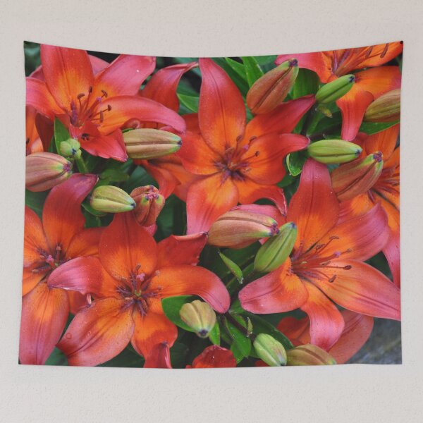 Item preview, Red Asiatic lilies in bloom and bud designed and sold by FunkiFunki.