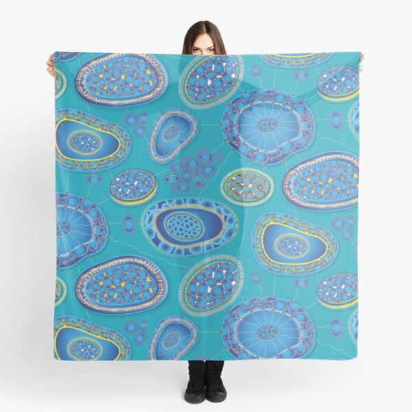 Amorphous Forms Network Scarf