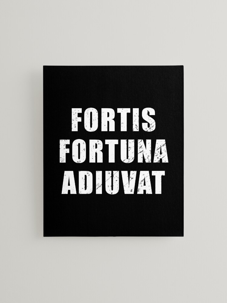 fortis Fortuna adiuvat. Literally The strong ones, Fortune helps. From  Terence comedy play Phormio. Engraved text. Stock Photo