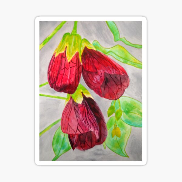 Item preview, Chinese Lantern Flowers Watercolor Painting designed and sold by Adina Dedu.
