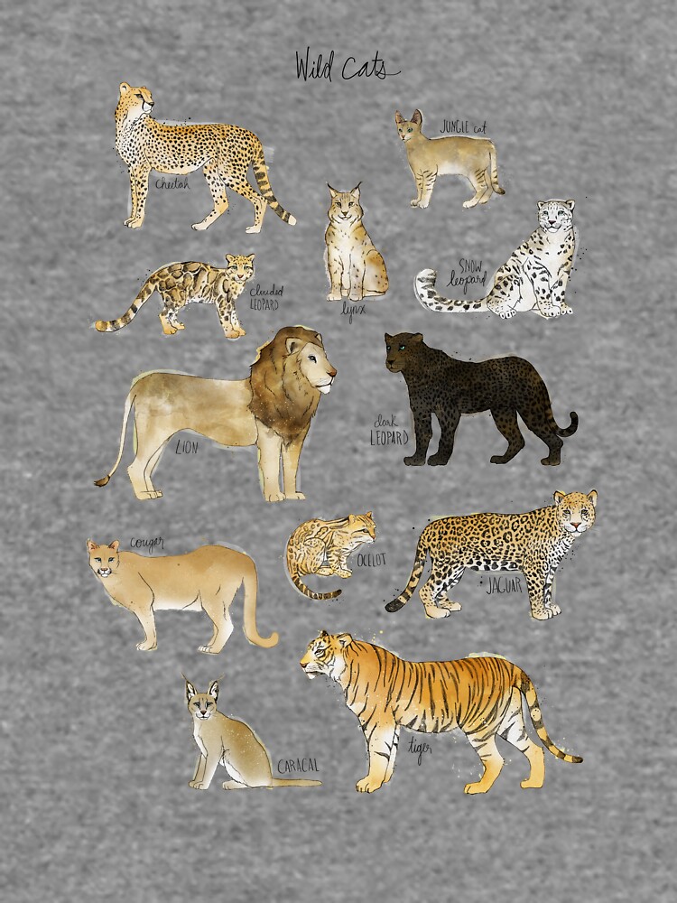 Wild Cats by AmyHamilton