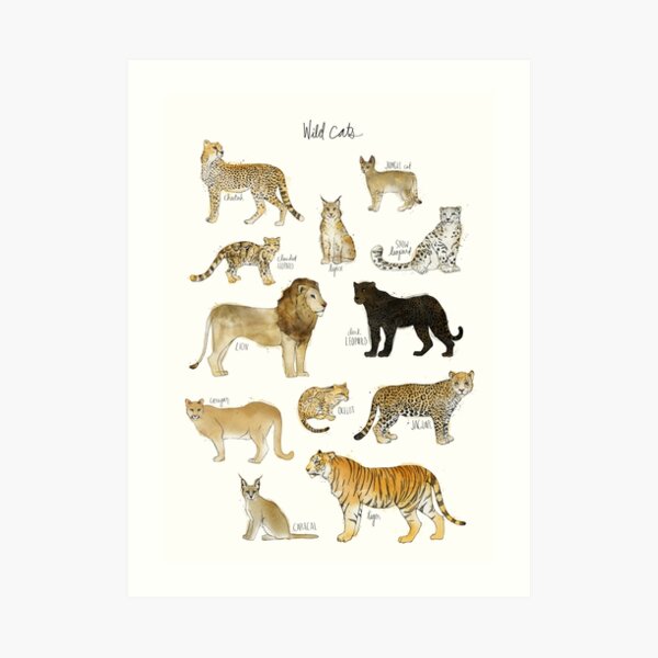 Wild Cats Art Print