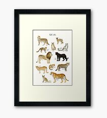 Wild Cats Framed Print