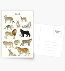 Wilde Katzen Postkarten