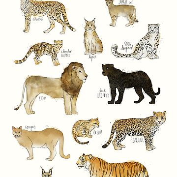 Artwork thumbnail, Wild Cats by AmyHamilton