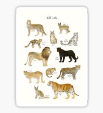 Wild Cats Sticker