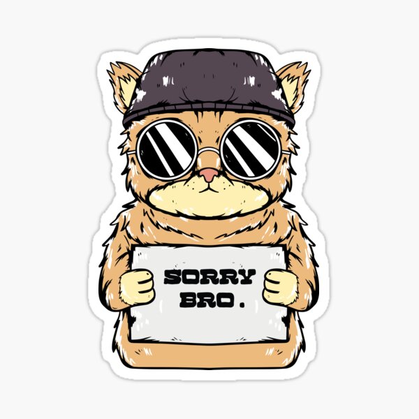 Sorry Bro Stickers Redbubble