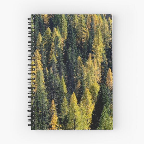 Item preview, Alps Alpine forest in fall 2 designed and sold by panoverse.