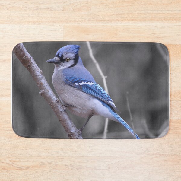 Item preview, Bluejay designed and sold by cherylorraine.