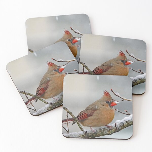 Item preview, Female Cardinal designed and sold by Michele Conner.