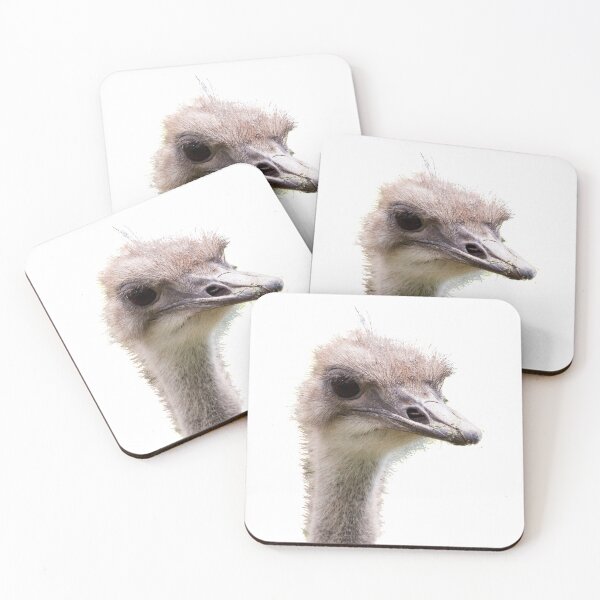 Item preview, Ostrich designed and sold by SPPDesign.