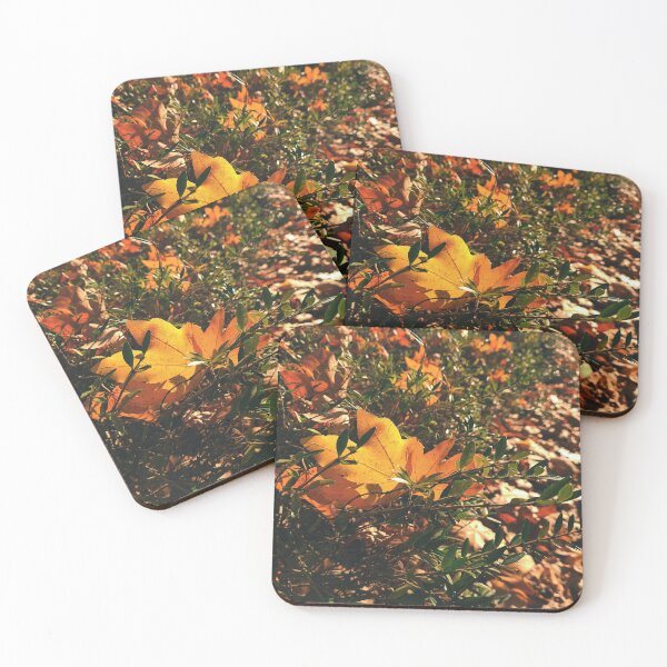 Item preview, Sun shines trough autumn leaves - The colors of autumn - Photography designed and sold by greatnorris.