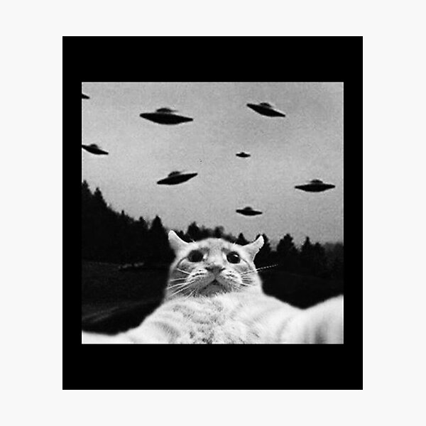 Alien UFO Funny Cat Selfie Photographic Print