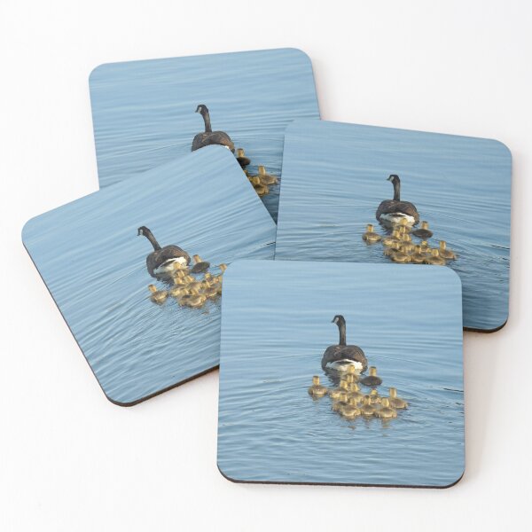 Item preview, How is the arrangement DUCKS designed and sold by Abed-T-shirt.