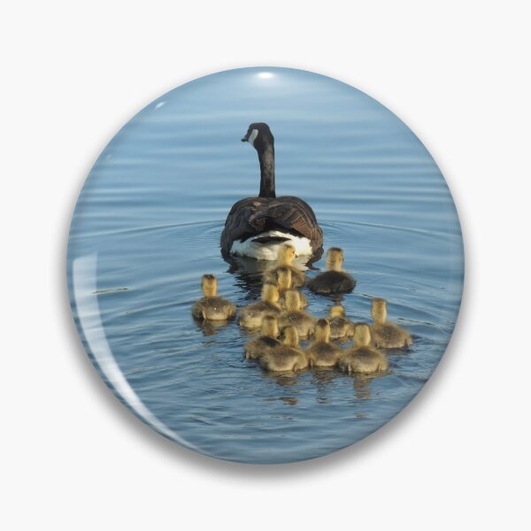 Item preview, How is the arrangement DUCKS designed and sold by Abed-T-shirt.