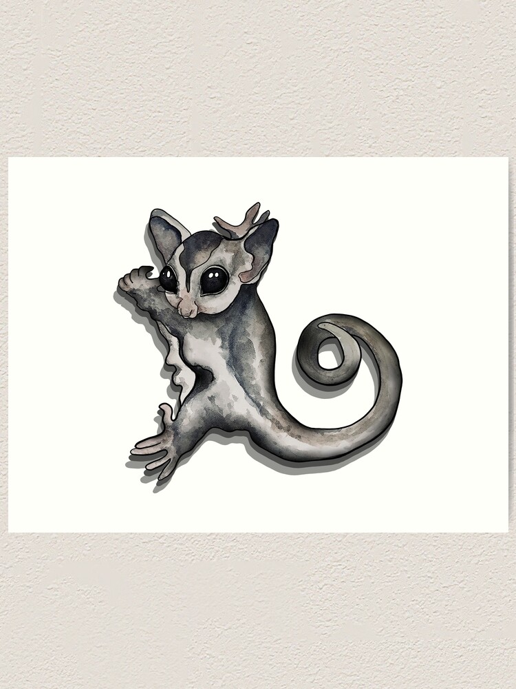 Sugar glider cling