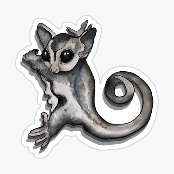 Item preview, Sugar glider cling designed and sold by kamkam19.