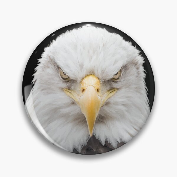 Item preview, Eagle Look Powerful Face designed and sold by mouad naouiri.
