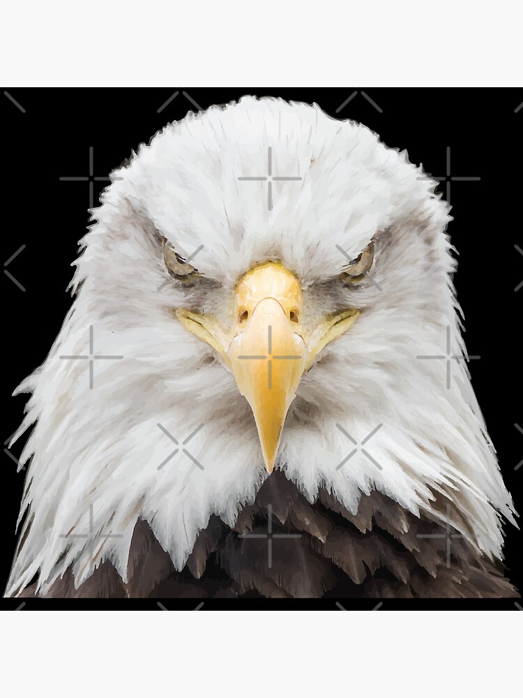 Composition Eagle. Insert Your Face/photo
