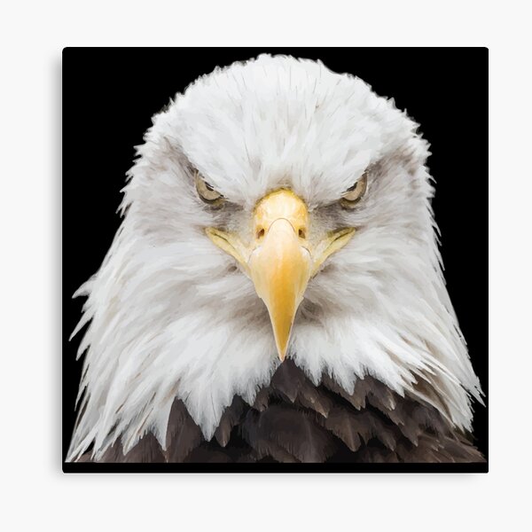  Animal Bird Prey Golden Eagle Head Unframed Wall Art