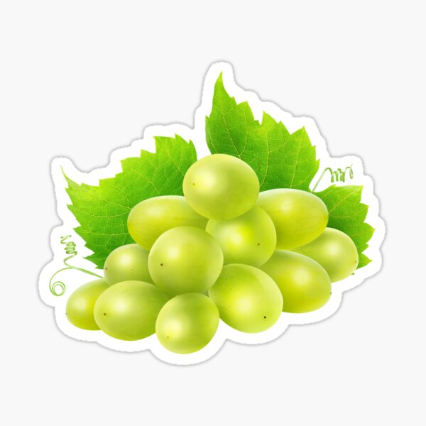 Item preview, White grape designed and sold by 6hands.