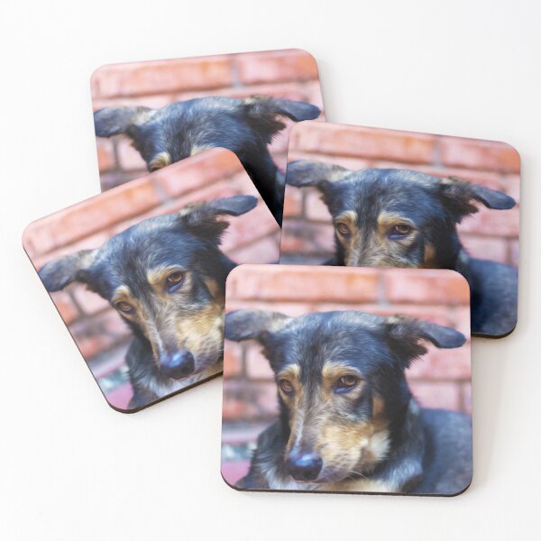 Item preview, dog look designed and sold by ricobarinas.