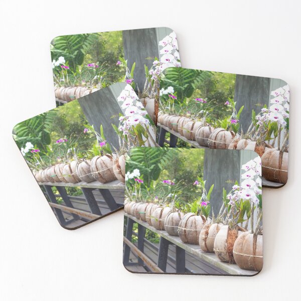 Item preview, Orchids planted in coco husks in tropical paradise designed and sold by Rrrainbow.