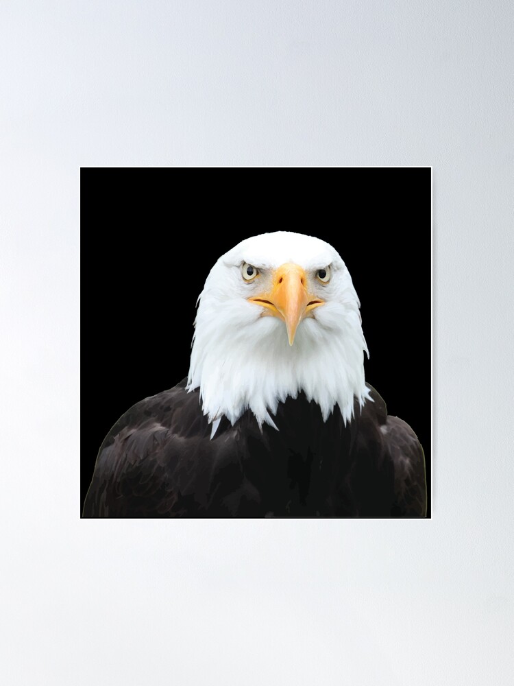 Composition Eagle. Insert Your Face/photo