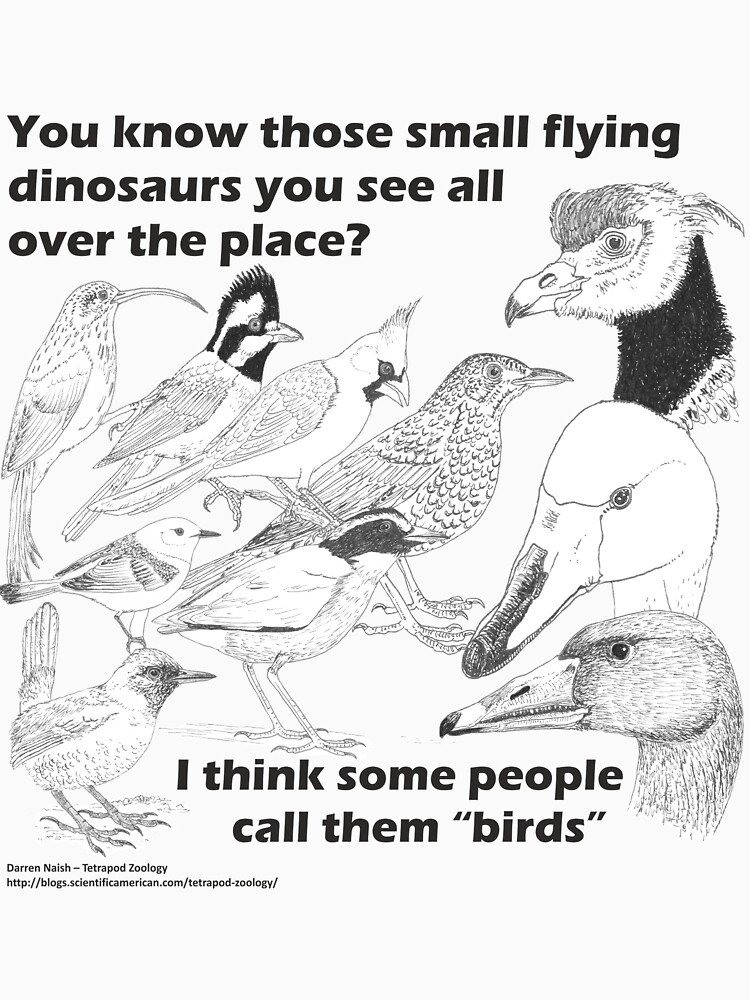 Those small flying dinosaurs by TetZoo