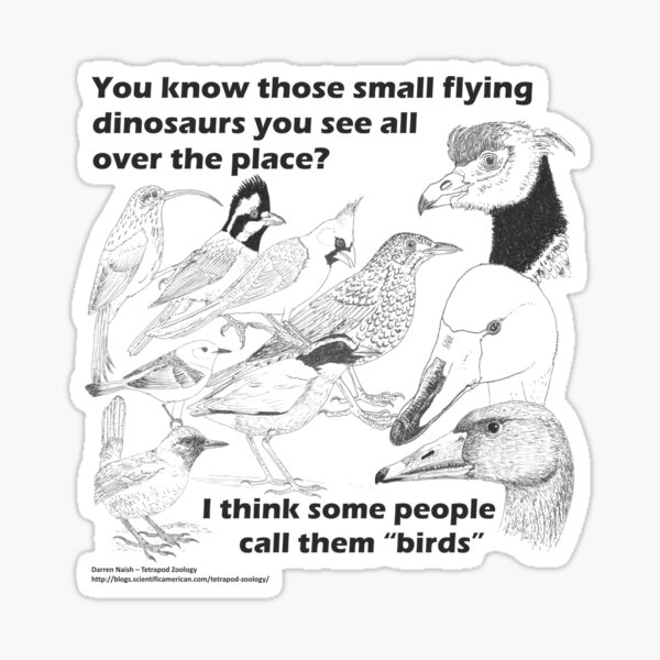 Item preview, Those small flying dinosaurs designed and sold by TetZoo.