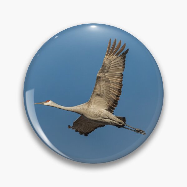 Item preview, Sandhill Crane In Flight 2020-1 designed and sold by Thomasyoung.