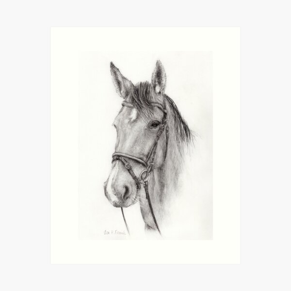 Horse head (from Alice) Art Print