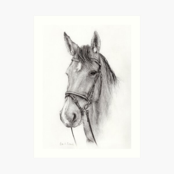 Horse head (from Alice) Art Print