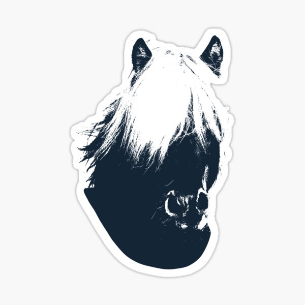 Islandpferd Islandpferde Reiterin Reiten Sticker