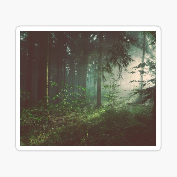 Item preview, Mystical forest lights designed and sold by HintofNature.