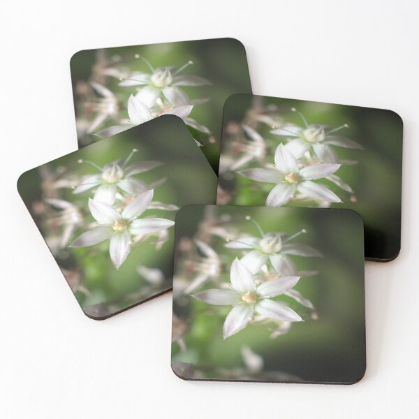 Item preview, Close up of small white flowers designed and sold by frankuffmann.