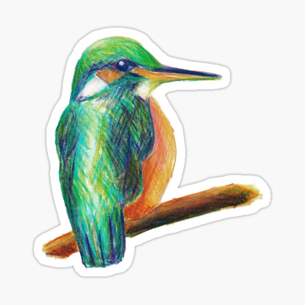 Kingfisher Sticker