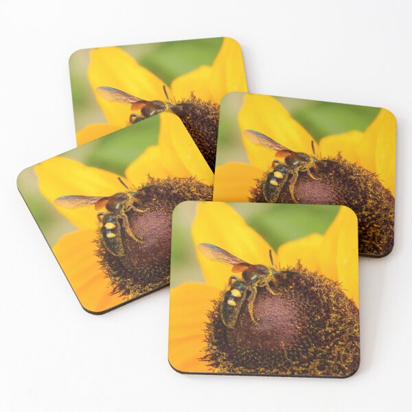 Item preview, Wasp on Sunflower designed and sold by subiesam1993.