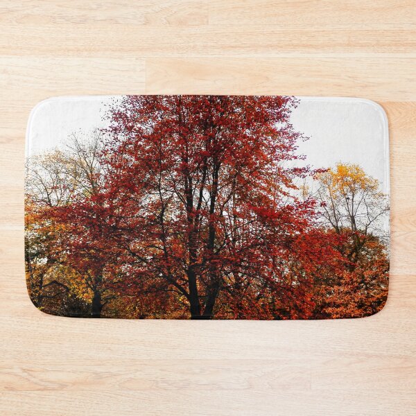Item preview, autumn trees designed and sold by OMdesigns93.