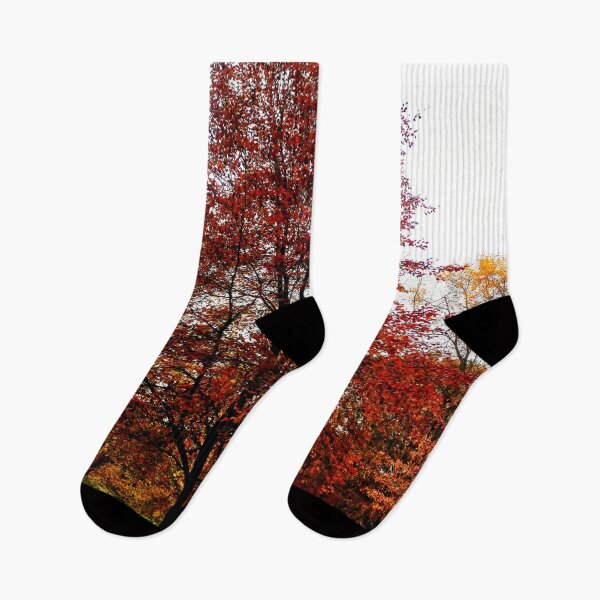 Item preview, autumn trees designed and sold by OMdesigns93.