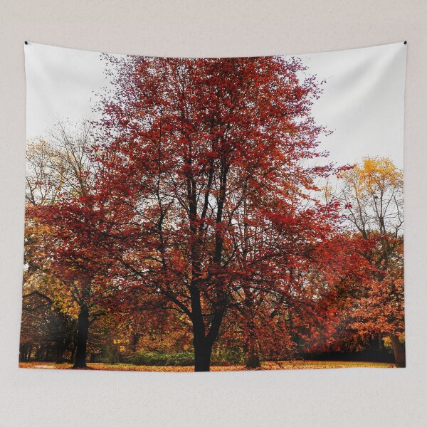 Item preview, autumn trees designed and sold by OMdesigns93.