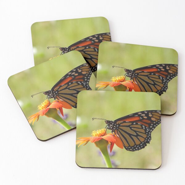 Item preview, Monarch Feeding on Mexican Sunflower designed and sold by subiesam1993.