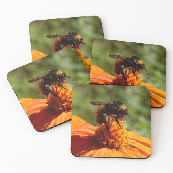 Item preview, American Bumblebee  designed and sold by subiesam1993.
