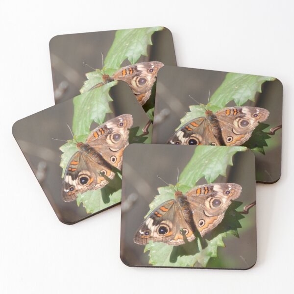 Item preview, Common Buckeye Butterfly designed and sold by subiesam1993.