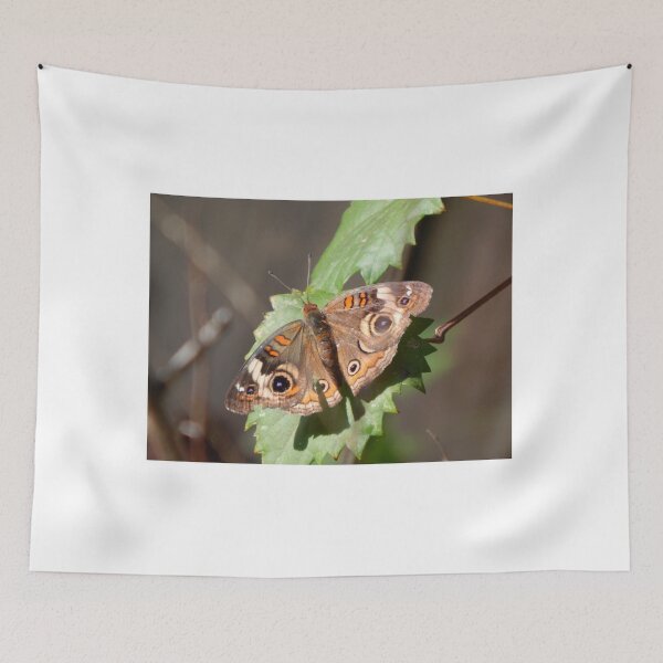 Item preview, Common Buckeye Butterfly designed and sold by subiesam1993.