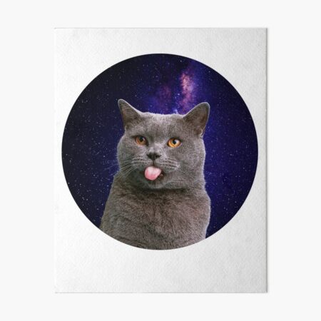 cat stickers cats funny stickers Art Board Print for Sale by alaechamlal